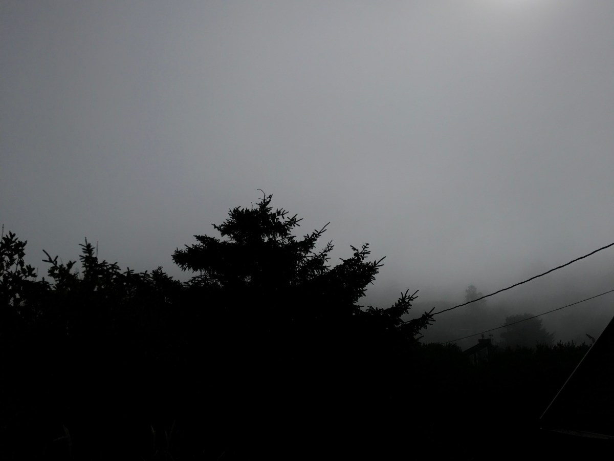 Song for Today: Everything is&nbsp;Bullshit