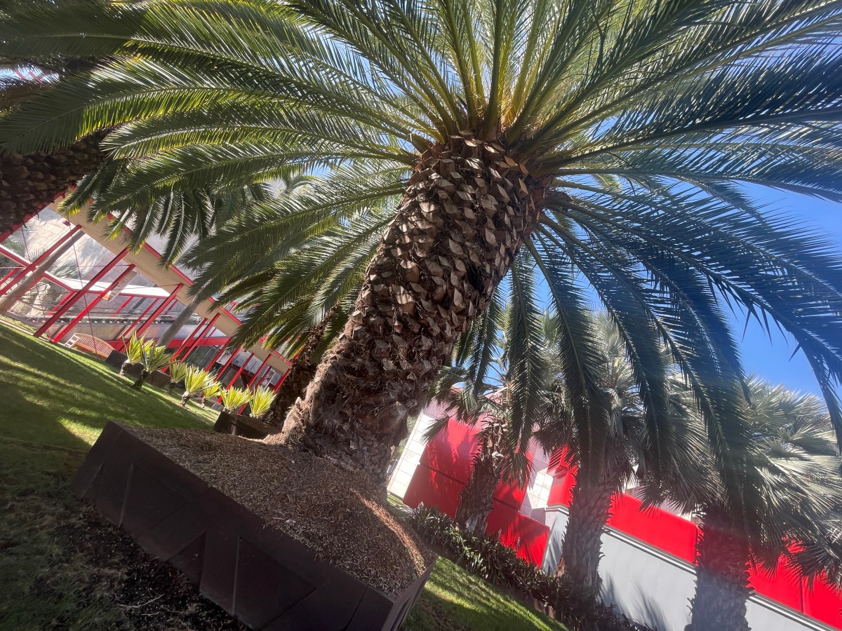 Song for Today: Poor Poor Pitiful&nbsp;Me