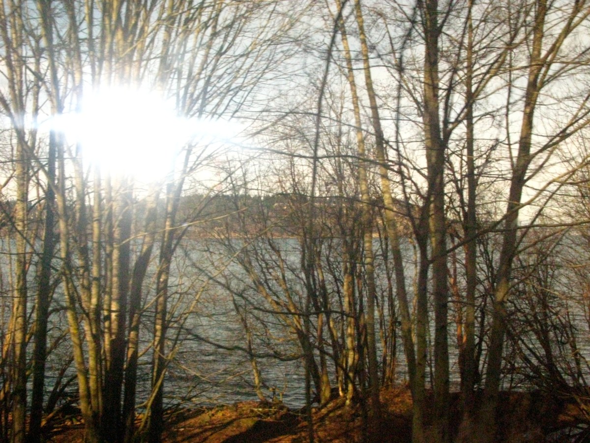 Song for Today: Everything I&nbsp;Own