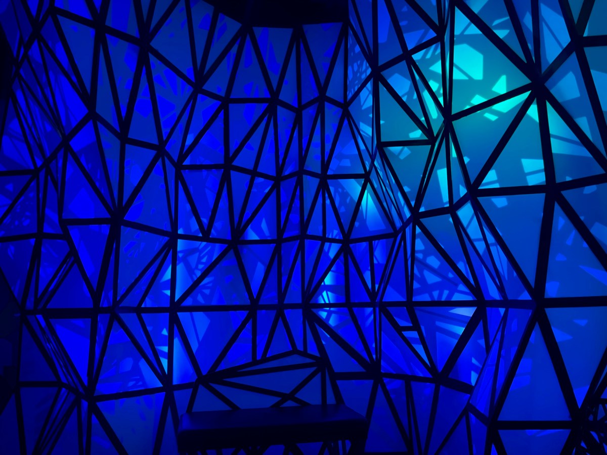 Song for Today:&nbsp;Homosapien