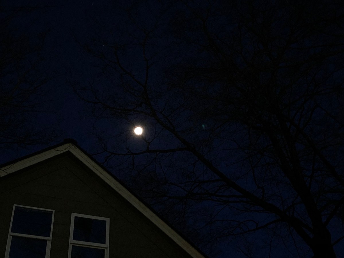 Song for Today: Pink&nbsp;Moon