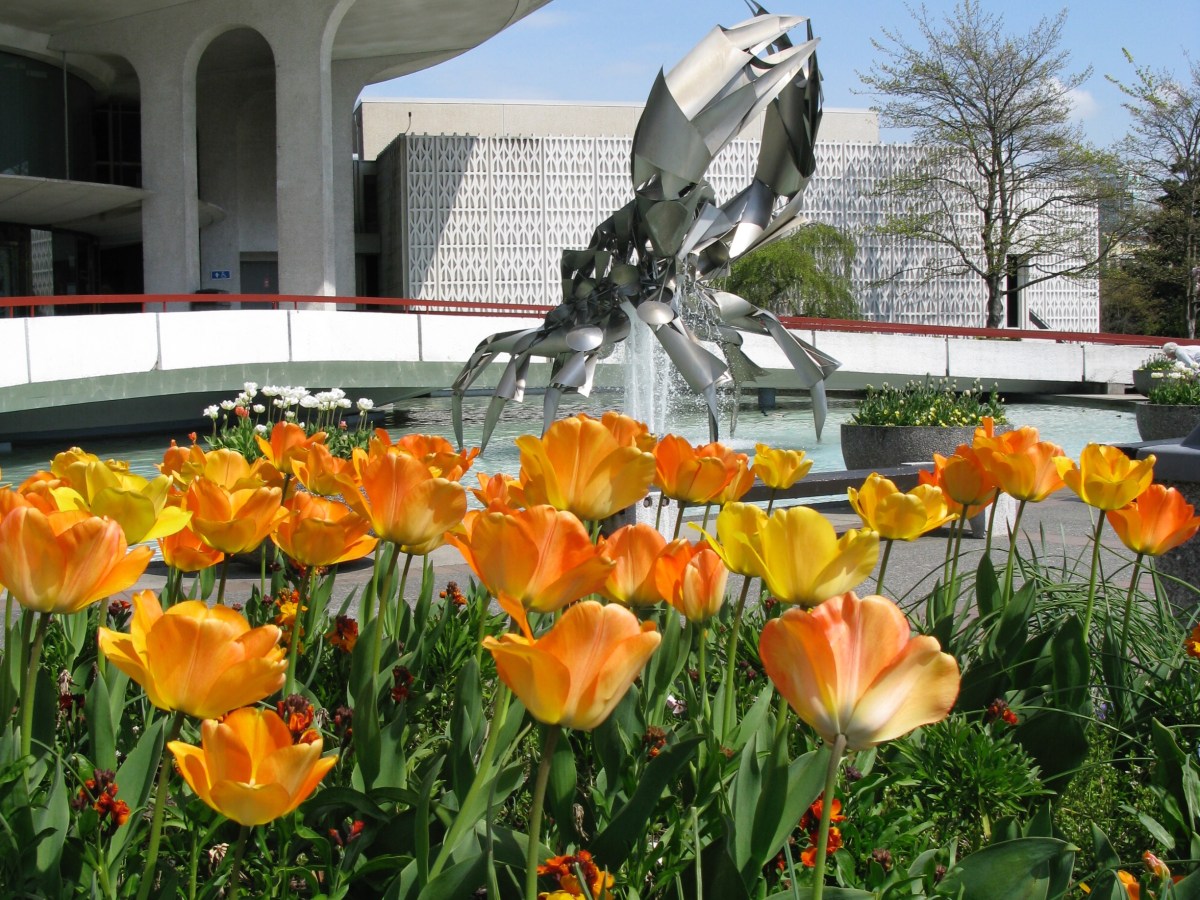 Song for Today: The Humour Of The&nbsp;Situation