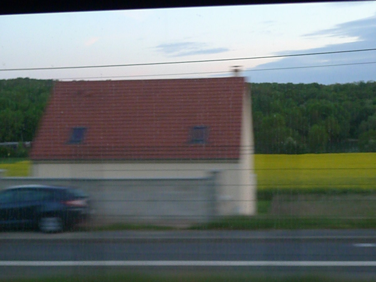 Song for Today: New&nbsp;Sensations