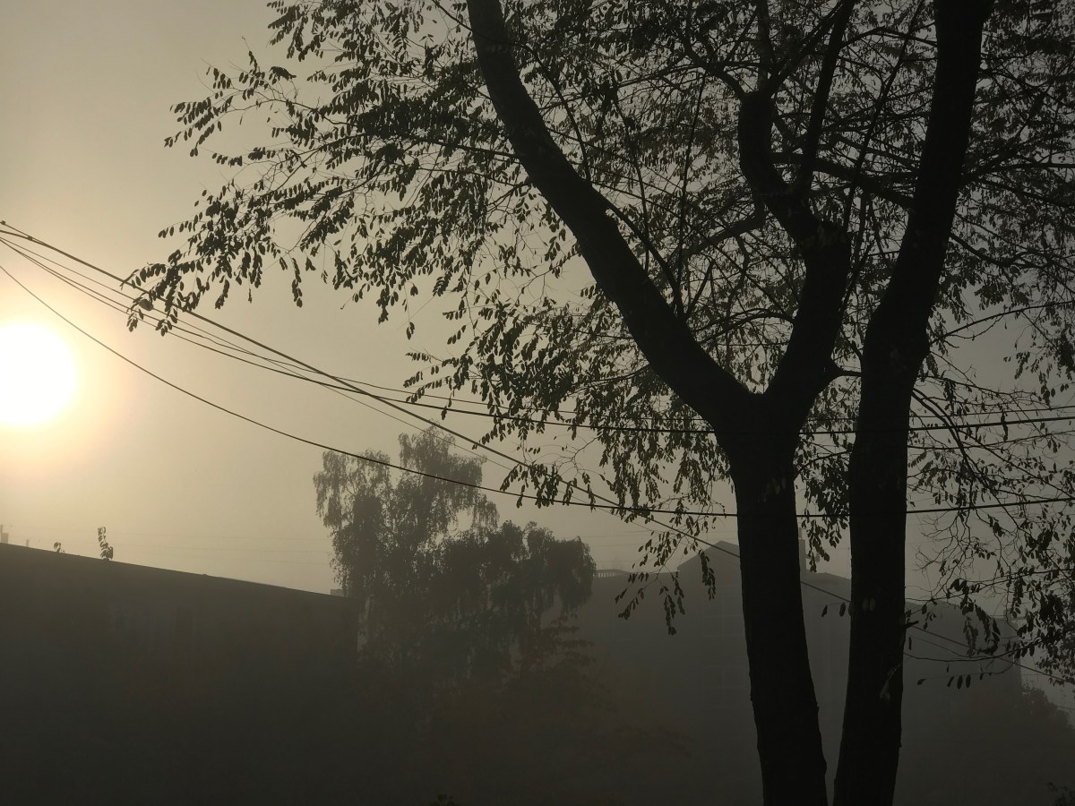 Song for Today:&nbsp;Disease