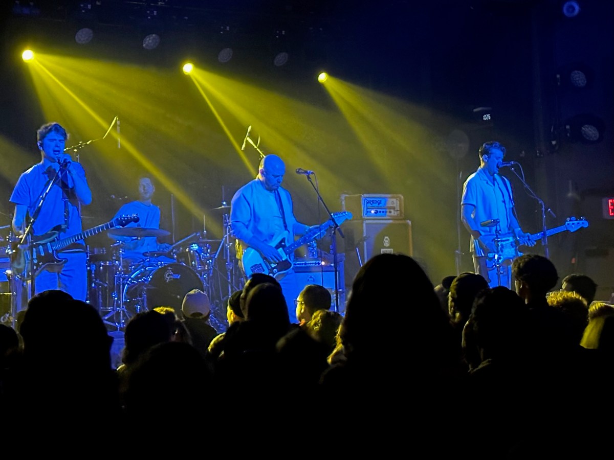 Song for Today: No&nbsp;Reptiles