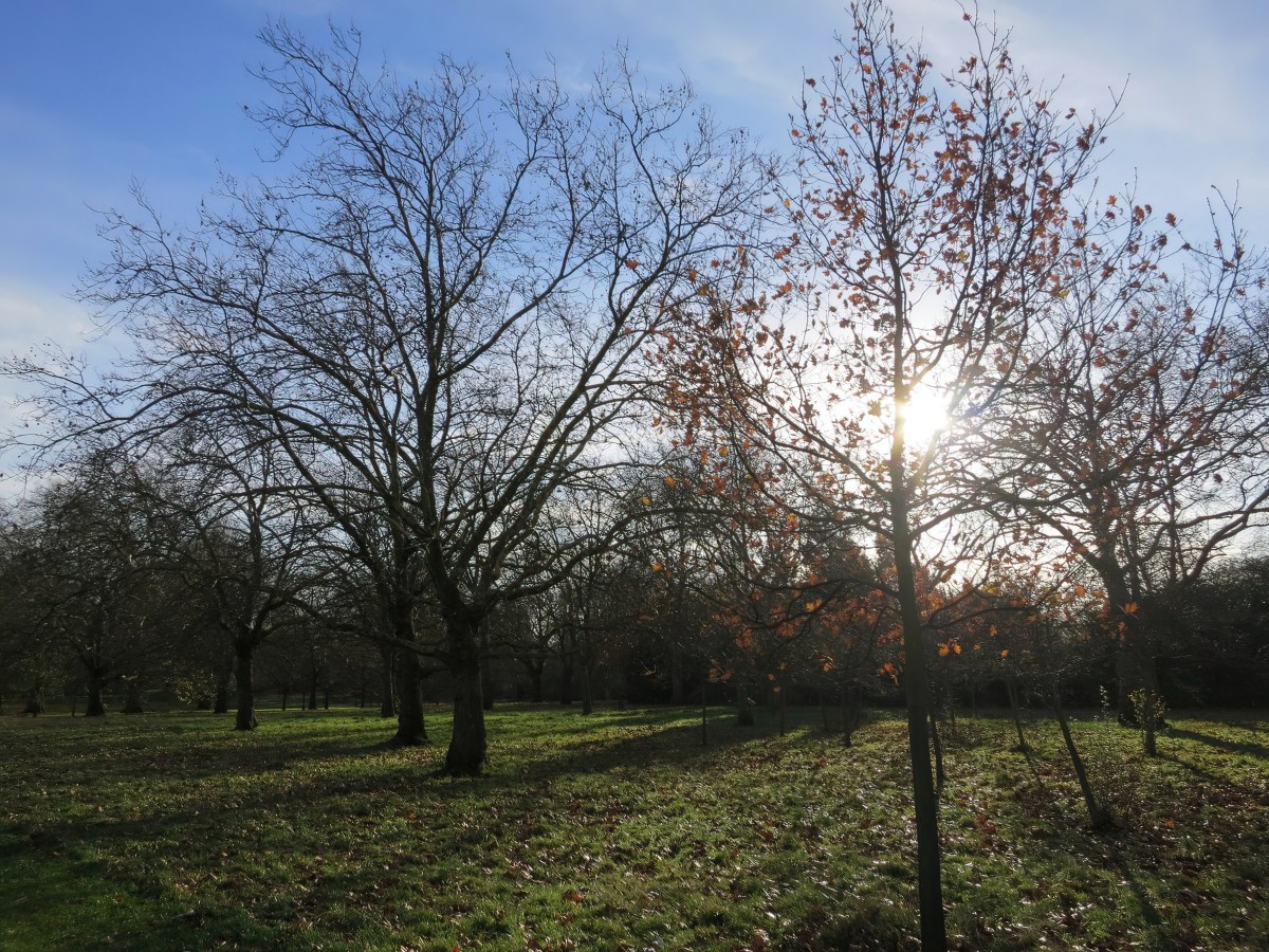 Song for Today: Strawberry Fields&nbsp;Forever