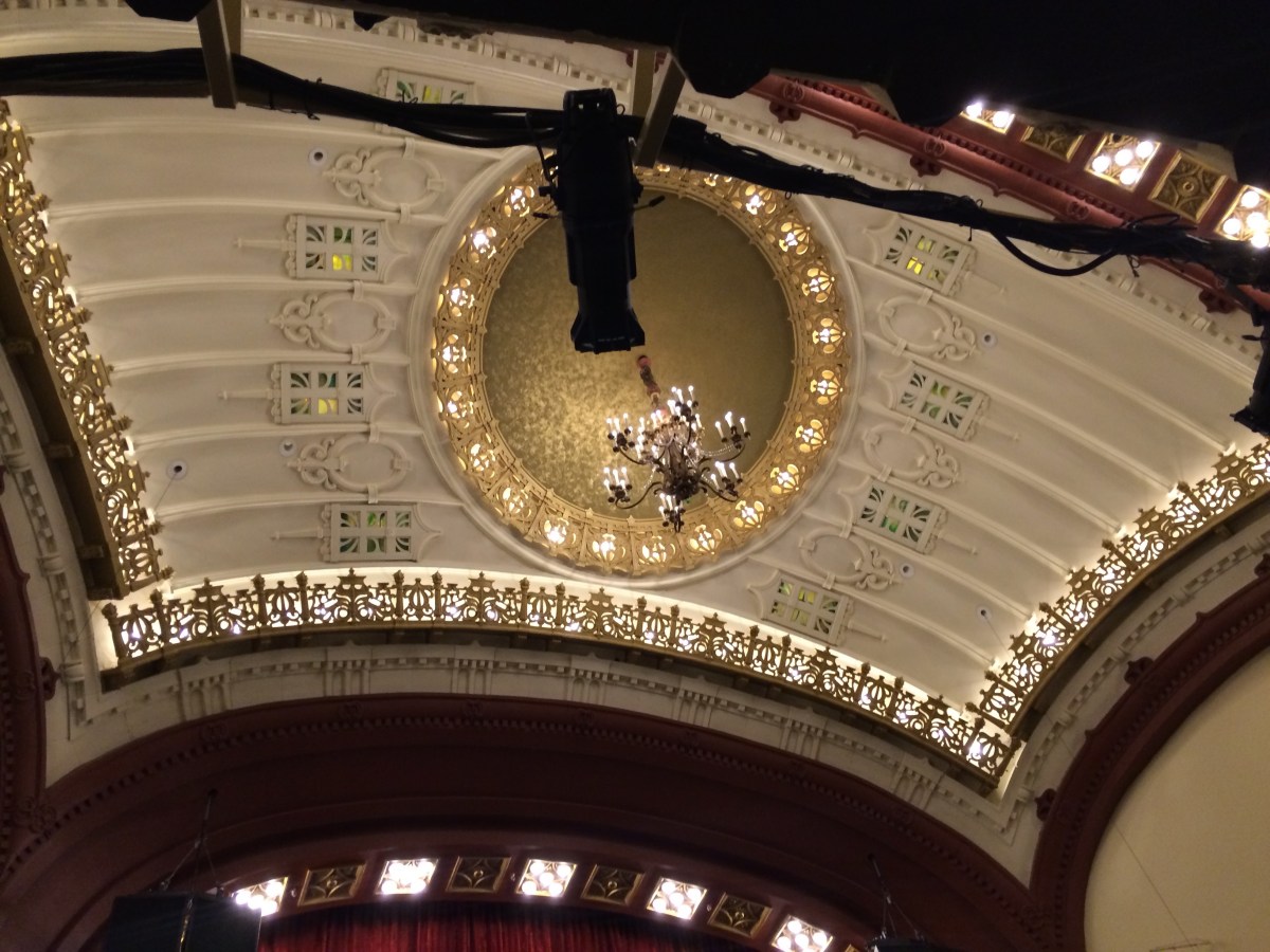 Song for Today: A Feather’s Not a&nbsp;Bird