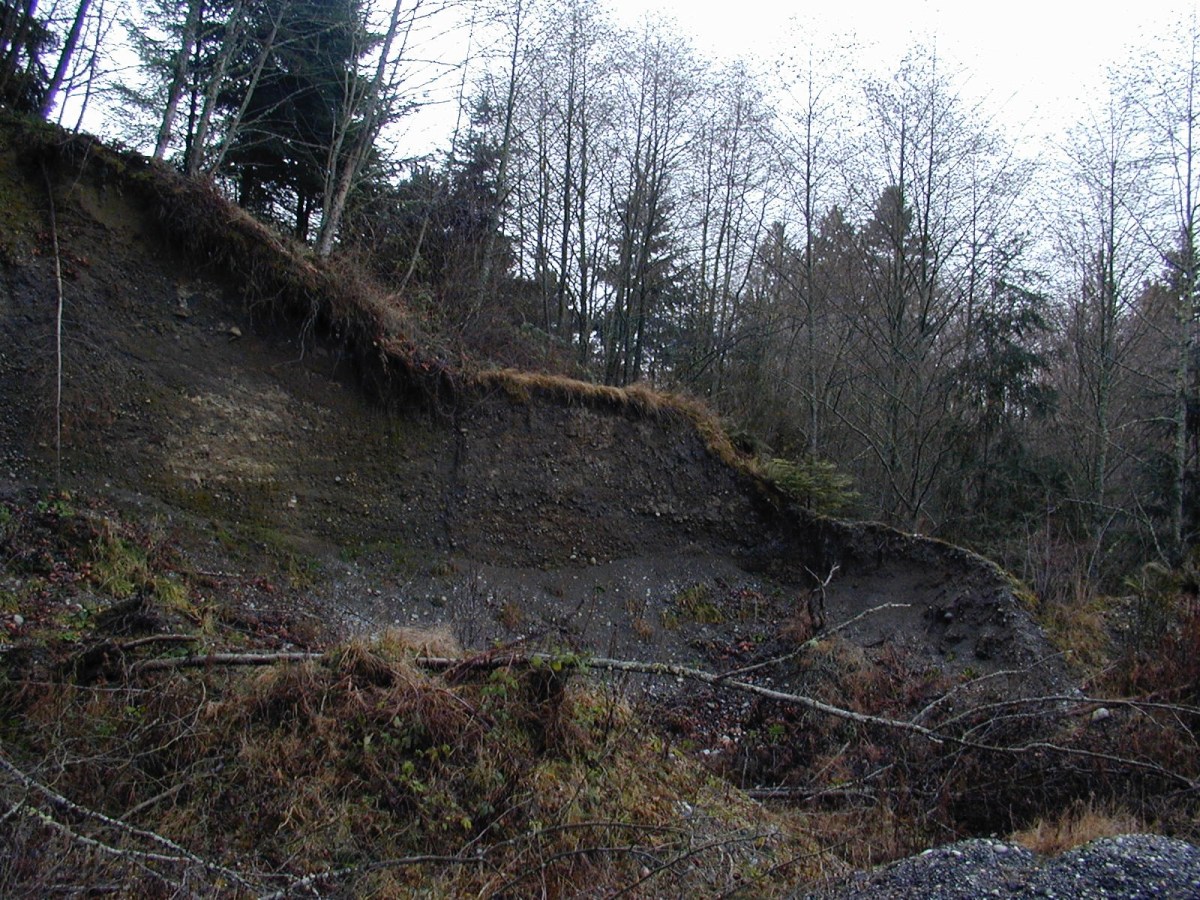 Song for Today:&nbsp;Landslide