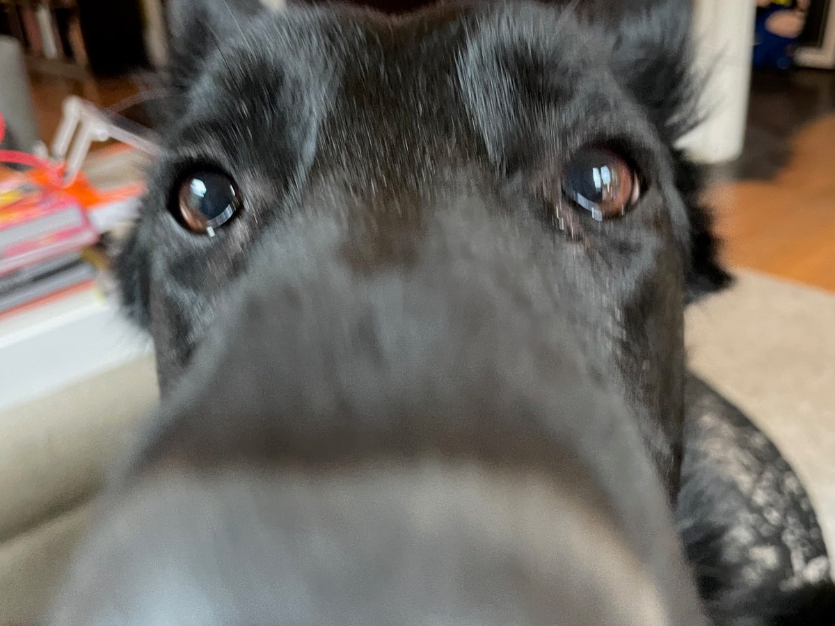 Song for Today: Saturday&nbsp;Morning