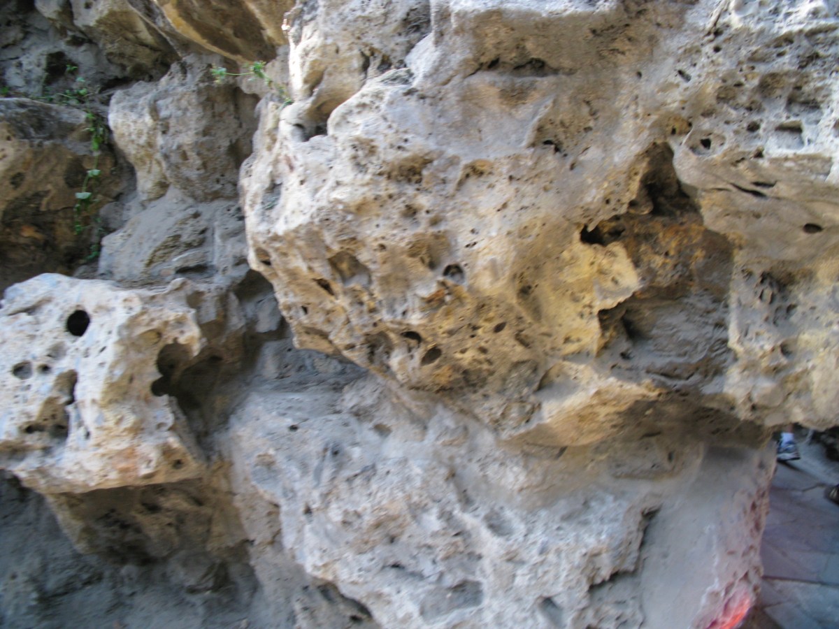 Song for Today:&nbsp;Fa-Fa-Fa