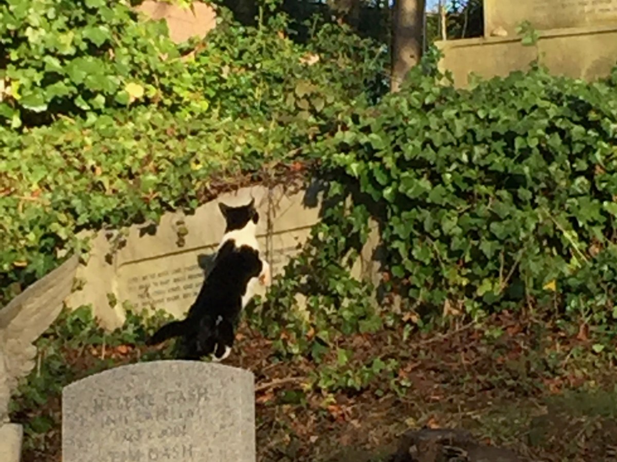 Song for Today: Keep Me In Your&nbsp;Heart