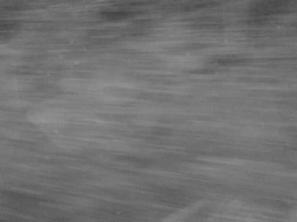 Song for Today: Black Tie White&nbsp;Noise