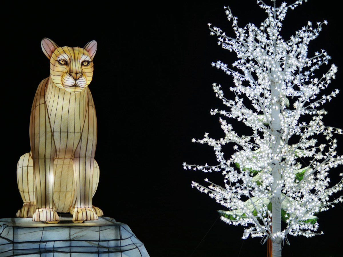 Song for Today: Merry Christmas Mr.&nbsp;Lawrence