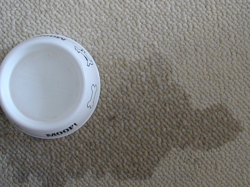 Song for Today: Such a&nbsp;Loser