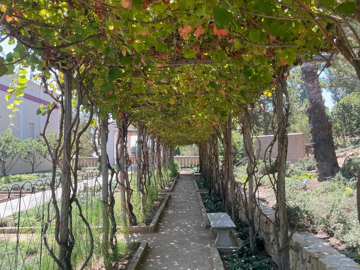 Song for Today: I Heard It Through the&nbsp;Grapevine