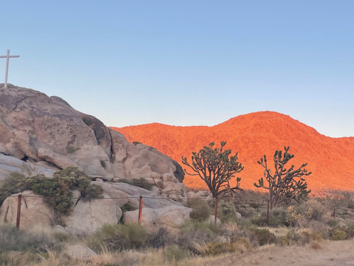 Song for Today: I&nbsp;Believe