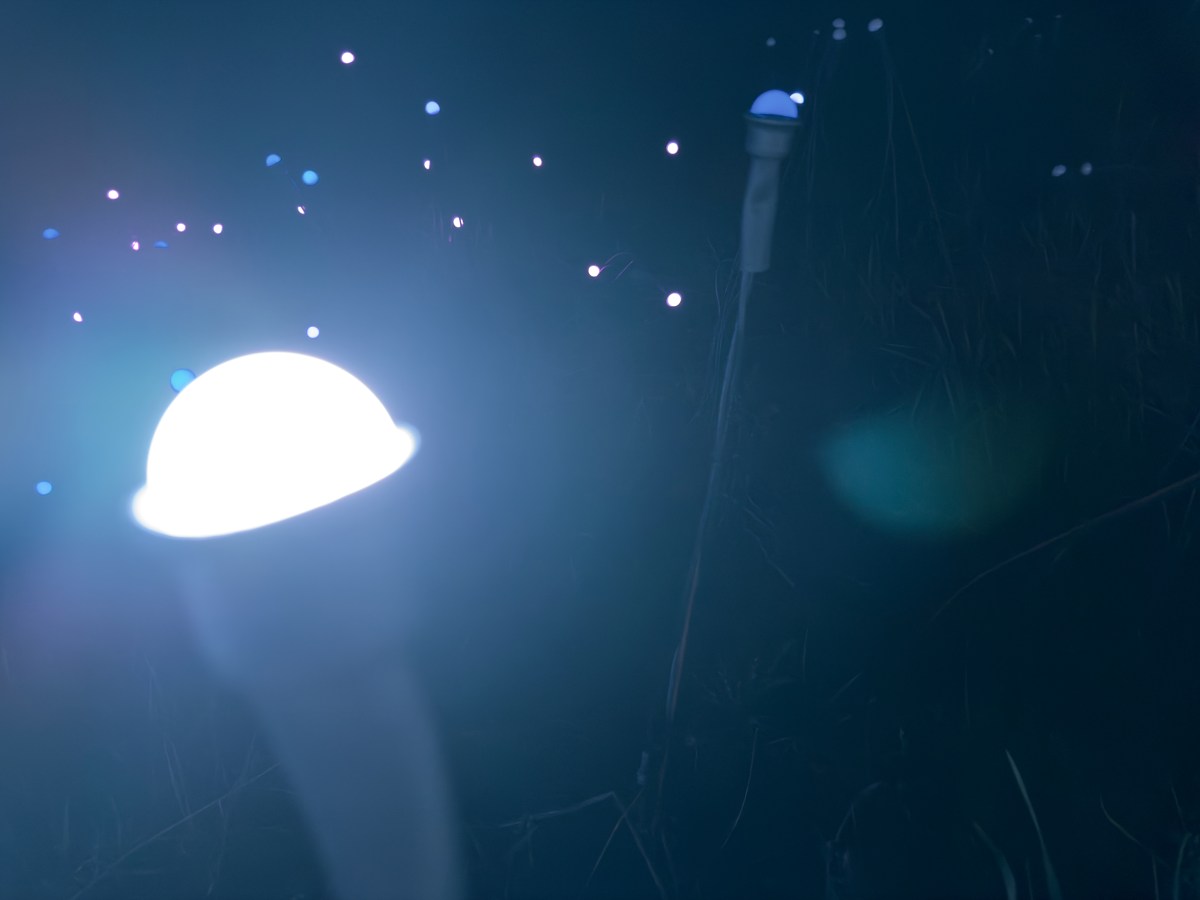 Song for Today: Synchronicity&nbsp;II